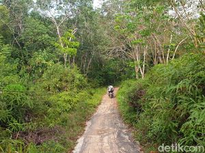 Cerita Korban Tragedi G30S, Niat Jadi Guru Malah Dikirim ke Pulau Buru Cerita Korban Tragedi G30S, Niat Jadi Guru Malah Dikirim ke Pulau Buru