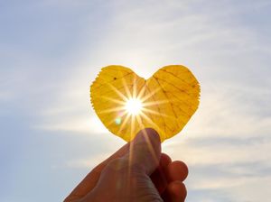 30 Kalimat Bijak Ali bin Abi Thalib, Bisa Jadi Motivasi dalam Hidup 30 Kalimat Bijak Ali bin Abi Thalib, Bisa Jadi Motivasi dalam Hidup