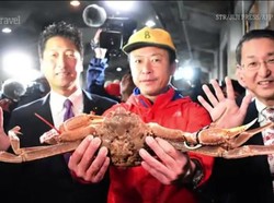 Mengenal Habitat Kepiting Jepang yang Seharga Mobil Mewah