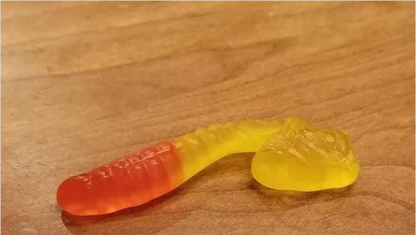 10 Benda Makanan Aneh yang Dijual dengan Harga Selangit di Internet