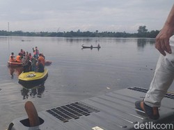 Ratusan Bangkai Babi yang Diangkut dari Danau Siombak Medan Dikubur