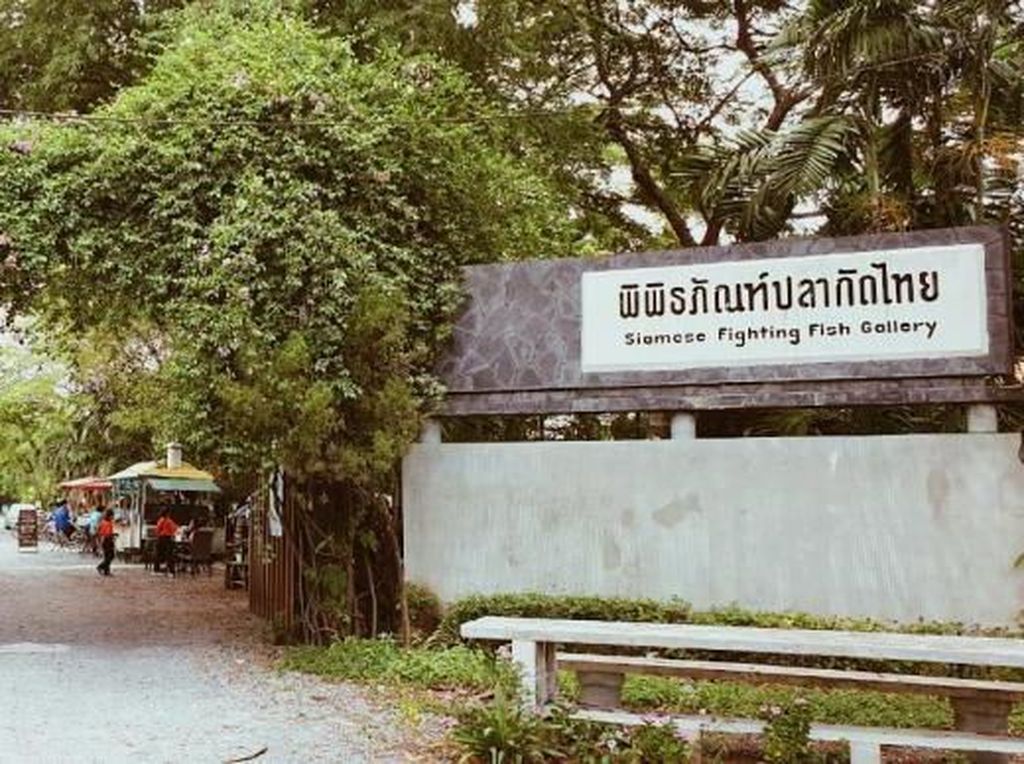 Mengelilingi Oasis Perkotaan Terbaik di Asia Mengelilingi Oasis Perkotaan Terbaik di Asia
