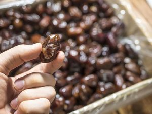 5 Ciri Kurma Medjool yang Populer dari Israel dan Cara Membedakannya