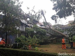 Diterjang Hujan Angin, Beringin Tumbang Timpa Kantor Wabup Garut