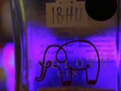 Ih Jijik! Kotoran Gajah Jadi Bahan Baku Minuman Ini