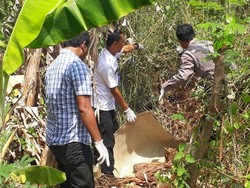 Mayat Wanita Ditemukan Mengering di Brebes, Begini Mumi Alami Terbentuk