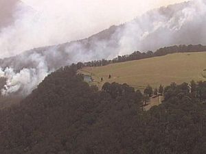 Api Bisa Muncul Kapan Saja, Kebakaran Hutan di Australia Kian Meluas