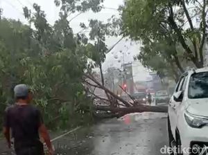 Hujan Disertai Angin Kencang, Ada 8 Titik Pohon Tumbang dan PJU Roboh