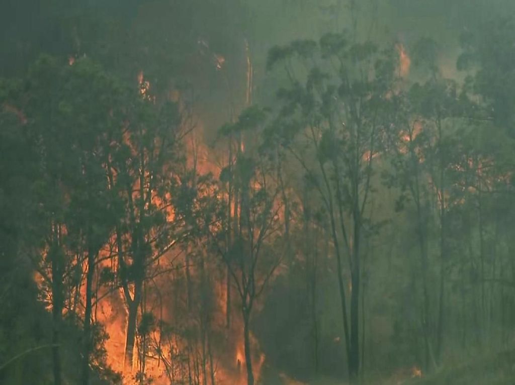Helikopter Jatuh Saat Memadamkan Kebakaran Hutan di Australia Helikopter Jatuh Saat Memadamkan Kebakaran Hutan di Australia