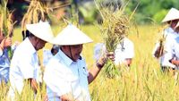 Panen Raya Padi Organik dan Lokakarya Pertanian