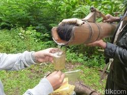 Mengenal Tuak, Minuman Khas Masyarakat Batak di Setiap Kondisi