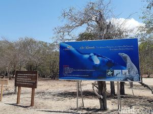 Labuan Bajo Cuma untuk Wisatawan Menengah ke Atas?