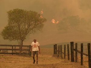 Remaja 16 Tahun Diinterogasi terkait Kebakaran Hutan Australia
