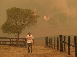 Remaja 16 Tahun Diinterogasi terkait Kebakaran Hutan Australia