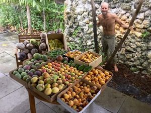 Super Hemat! Pria Ini Tak Keluarkan Uang Makan Setahun karena Berkebun Super Hemat! Pria Ini Tak Keluarkan Uang Makan Setahun karena Berkebun