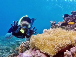 Surga Snorkling Ini Bernama Balablakang