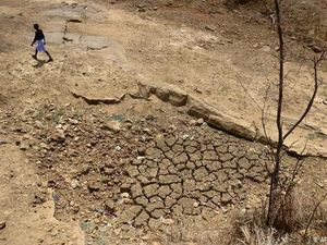 Perjuangan Anak-anak Petani di India Setelah Ditinggal Bunuh Diri