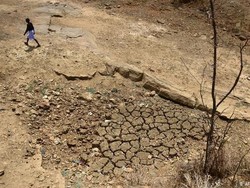 Perjuangan Anak-anak Petani di India Setelah Ditinggal Bunuh Diri