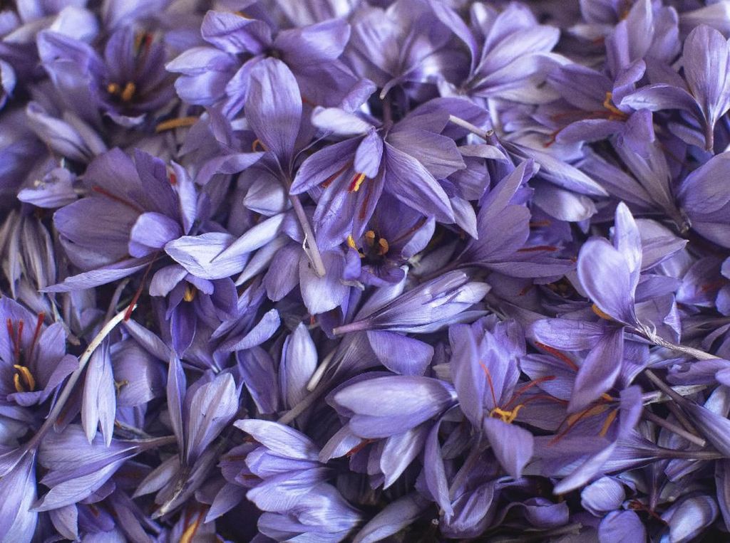 6 Manfaat Sabun Saffron Untuk Kulit