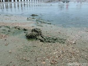 Lagi-lagi Pantai Wates Rembang Berlumpur, Bau dan Bikin Gatal