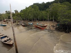 Berkat Listrik, Nelayan Perbatasan Tak Lagi Galau Melaut