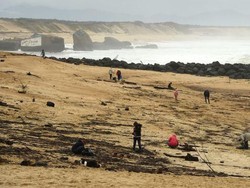 Ratusan Kilogram Narkoba Terdampar di Pantai Prancis