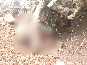 Penggali Batu Gunung di Gowa Tewas di Bawah Akar Pohon