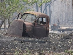Kisah Wytaliba, Ground Zero Kebakaran Hutan di Australia