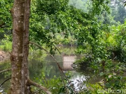 Gerebek Gubuk Tersembunyi, Polisi Amankan 2 Orang Terkait Bom Medan