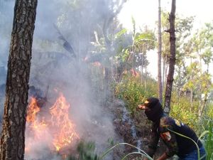 Pemadaman Kebakaran Hutan di Gunung Lawu Terkendala Angin Kencang
