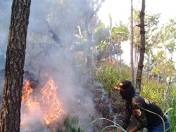 Pemadaman Kebakaran Hutan di Gunung Lawu Terkendala Angin Kencang