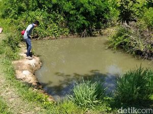 Dua Bocah Ditemukan Tewas Tenggelam Berpelukan di Blumbang Sawah
