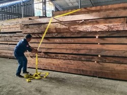 17 Kontainer Kayu Ilegal dari Maluku Diamankan Petugas KLHK di Surabaya