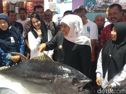 Antisipasi CPNS Terpapar Radikal, Pemprov Jatim Lakukan Screening Ideologi