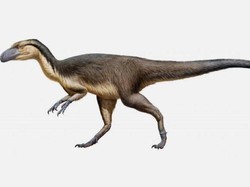 Dinosaurus Berbulu Pernah Hidup di Kutub Selatan