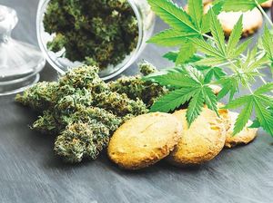 Diklaim Bikin Rileks, Ekstrak Ganja Jadi Campuran Kopi dan Permen