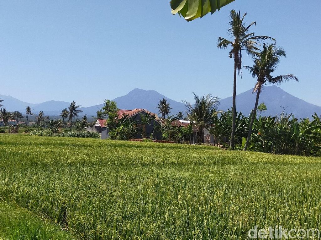Suhu di Banyuwangi 37 Derajat Celcius, Terpanas Dalam 23 Tahun Terakhir Suhu di Banyuwangi 37 Derajat Celcius, Terpanas Dalam 23 Tahun Terakhir