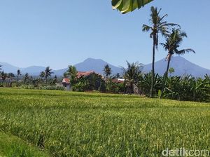 Suhu di Banyuwangi 37 Derajat Celcius, Terpanas Dalam 23 Tahun Terakhir Suhu di Banyuwangi 37 Derajat Celcius, Terpanas Dalam 23 Tahun Terakhir