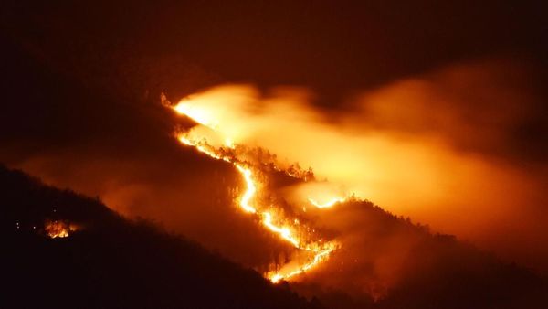 Terbakar, Gunung Lawu Merah Membara