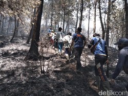 Kebakaran Hutan Gunung Lawu Belum Padam, 56 Pendaki Belum Turun