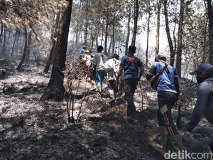 Pemadaman Gunung Lawu Masih Dilakukan Manual Pemadaman Gunung Lawu Masih Dilakukan Manual