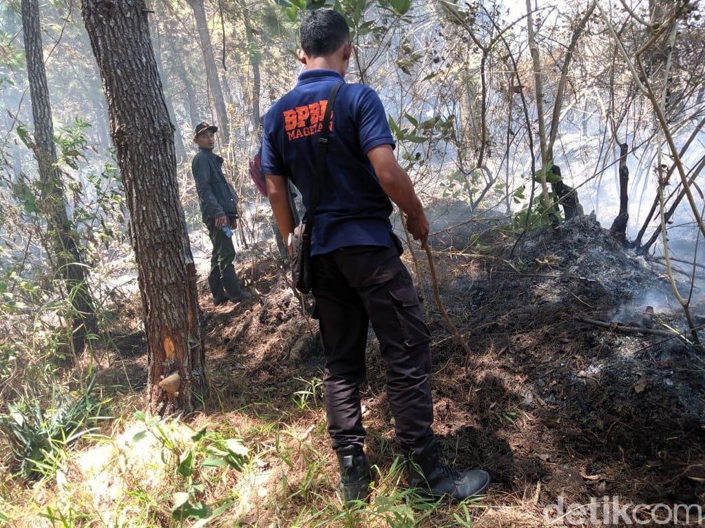 Pemadaman Kebakaran Gunung Lawu Terkendala Badai, Api Meluas Pemadaman Kebakaran Gunung Lawu Terkendala Badai, Api Meluas