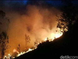 Tragis 7 Pendaki Tewas Terjebak Kebakaran Gunung Lawu