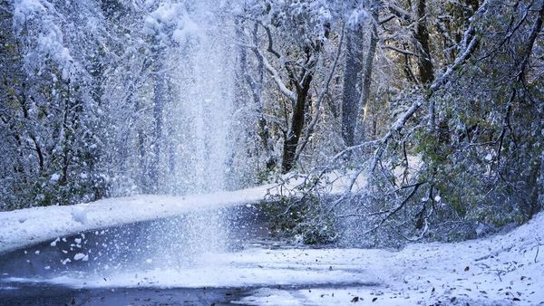 Salju Tebal Selimuti Prancis, 1 Orang Tewas dan 300 Ribu Rumah Tanpa Listrik