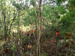 Nenek Hilang 2 Hari Diduga Tersesat, Tim SAR Sisir Hutan di Gunungkidul