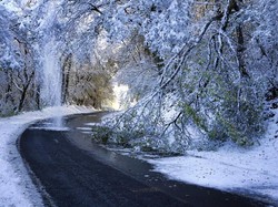 Hujan Salju Lebat Tewaskan 1 Orang di Prancis, 300 Ribu Rumah Tanpa Listrik