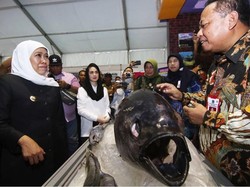 Khofifah Dorong Kreasi Makanan dan Minuman Berbasis Ikan