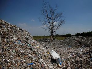Partikel Sisa Sampah Plastik Mulai Ditemukan dalam Telur Ayam di Indonesia