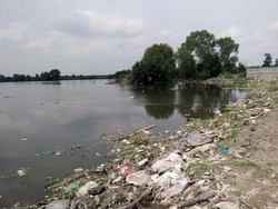 Bangkai Babi Sudah Diangkut, Danau Siombak Medan Masih Keluarkan Bau