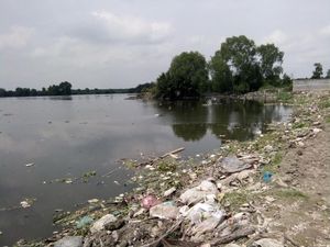 Bangkai Babi Sudah Diangkut, Danau Siombak Medan Masih Keluarkan Bau Bangkai Babi Sudah Diangkut, Danau Siombak Medan Masih Keluarkan Bau